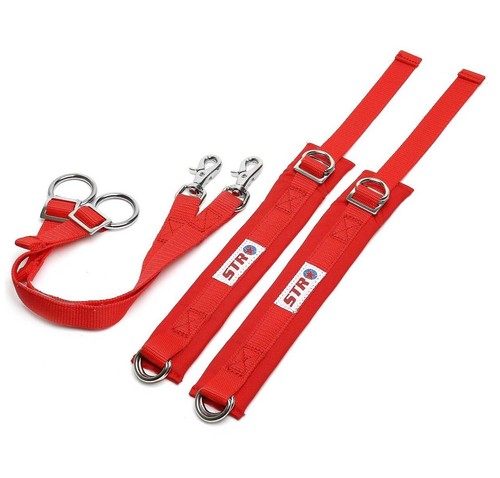 Motorsport racing arm - motorsport,